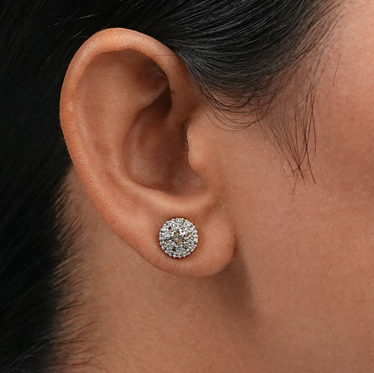 Chocolate Round Cut Double Halo Stud Earring